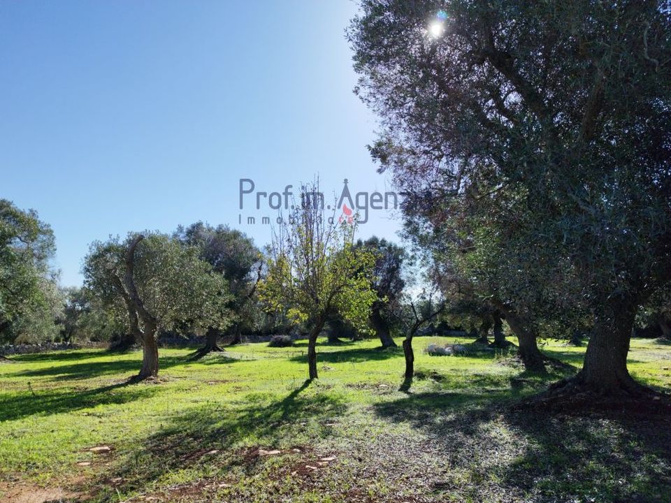 Terreno en Carovigno, Brindisi - foto 2